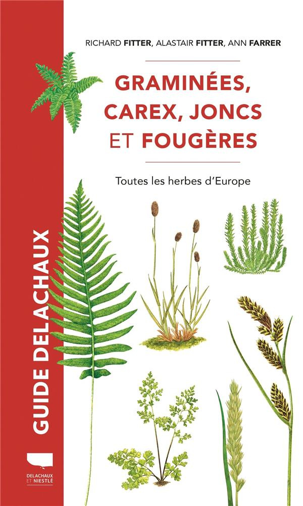 fitter-richard-3b-fitter-alastair-3b-farrer-ann-3b-tu-graminees-carex-joncs-et-fougeres-toutes-les-herbes-d-europe_0