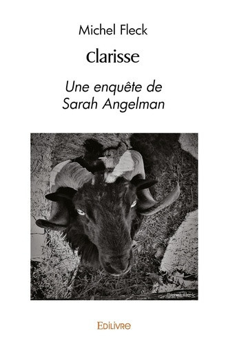 fleck-michel-clarisse-une-enquete-de-sarah-angelman_0