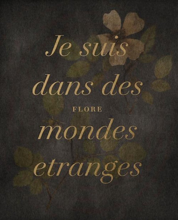 flore-razimbaud-je-suis-dans-des-mondes-etranges_0