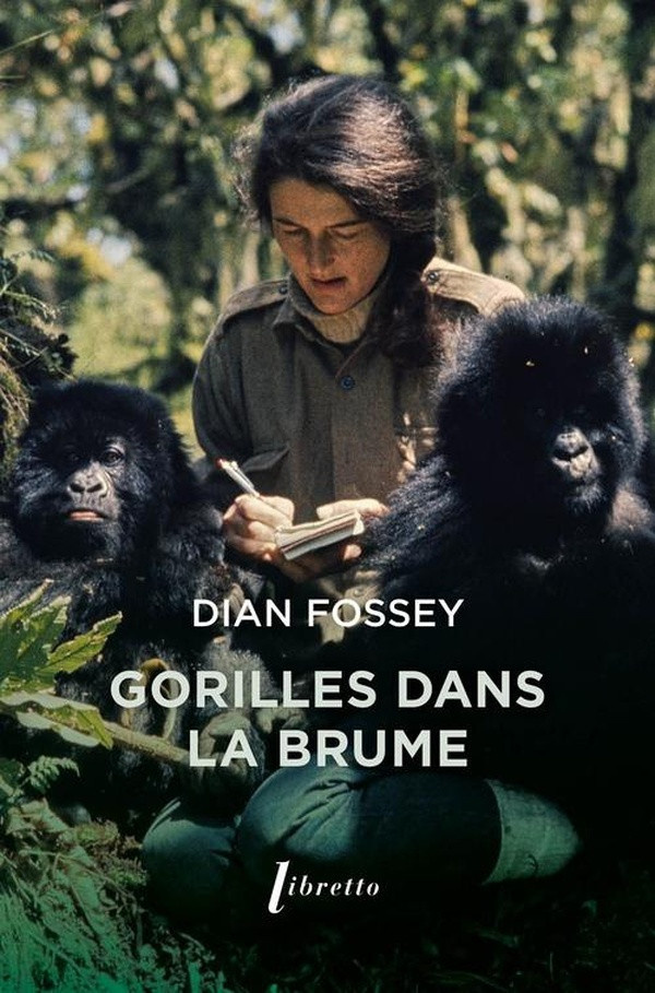fossey-dian-gorilles-dans-la-brume_0