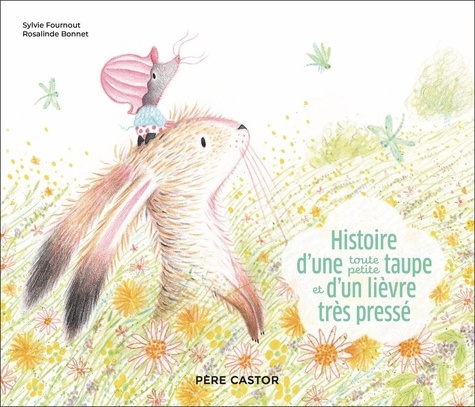 fournout-sylvie-3b-bonnet-rosalinde-histoire-d-une-toute-petite-taupe-et-d-un-lievre-tres-presse_0