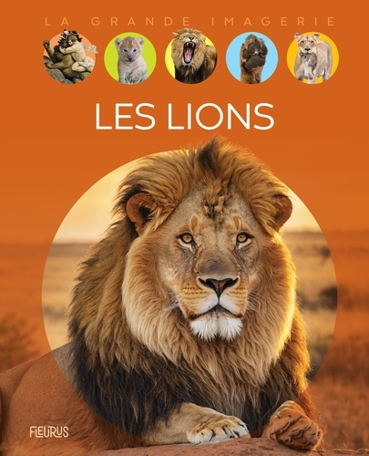 franco-cathy-les-lions_0
