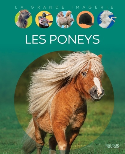 franco-cathy-les-poneys_0
