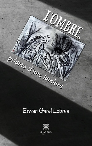 garel-lebrun-erwan-l-ombre-prisme-d-une-lumiere_0