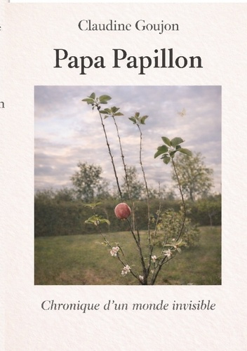 goujon-claudine-papa-papillon-chronique-d-un-monde-invisible_0