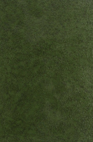 graur-theodosia-un-disciple-de-ronsard-amadis-jamyn-1540-1593-sa-vie-son-oeuvre-son-temp-1929_0