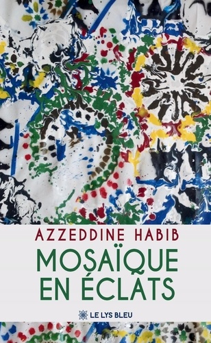 habib-azzeddine-mosaique-en-eclats_0