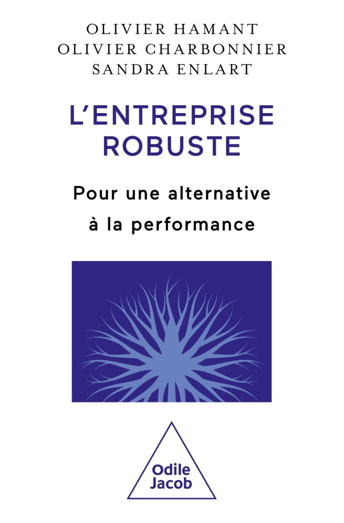 hamant-olivier-charbonnier-olivier-enlart-sand-l-entreprise-robuste-pour-une-alternative-a-la-performance_0