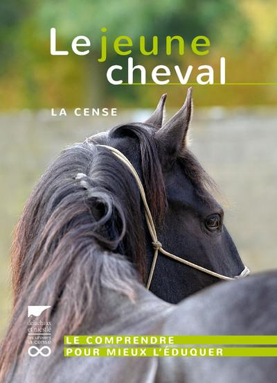 haras-de-la-cense-le-jeune-cheval-le-comprendre-pour-mieux-l-eduquer_0