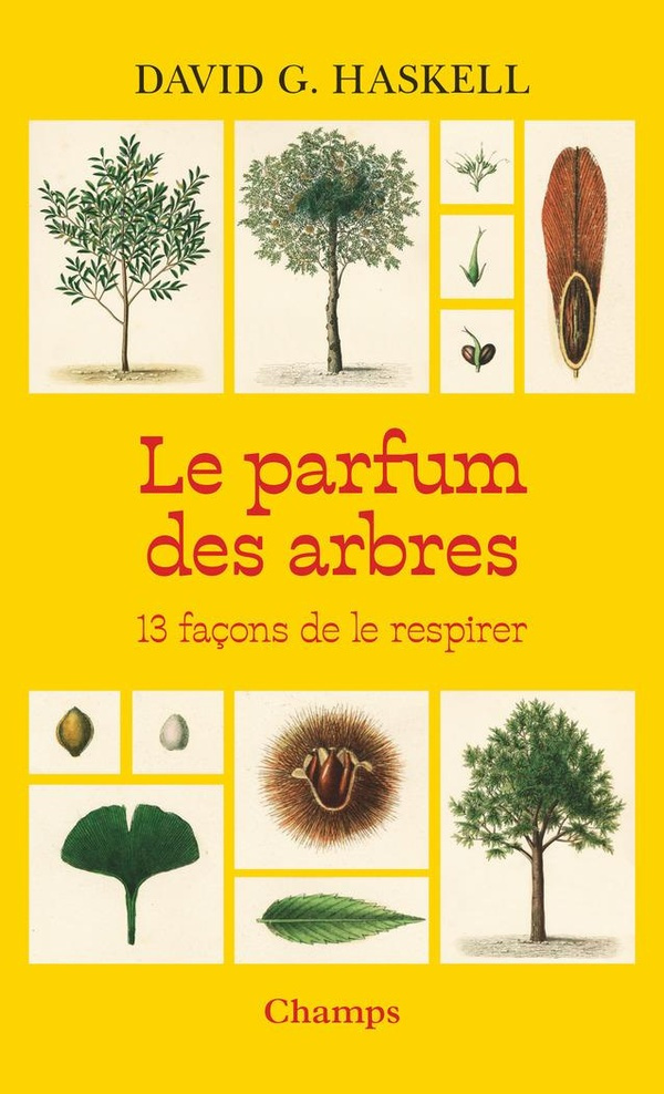 haskell-david-g-le-parfum-des-arbres-13-facons-de-le-respirer_0