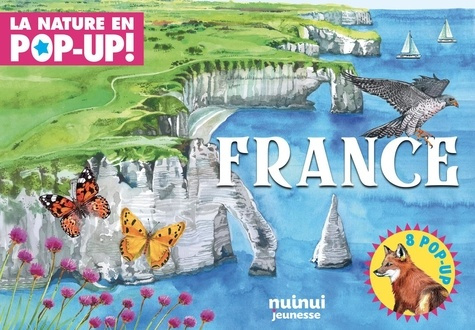 hawcock-david-la-nature-en-pop-up-france_0