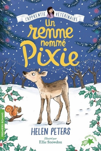 helen-peters-a-reindeer-called-joy_0