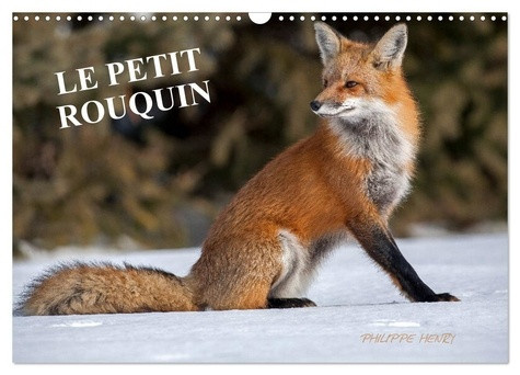 henry-philippe-petit-rouquin-calendrier-mural-2027-din-13-photos-de-renards-au-fil-de_0