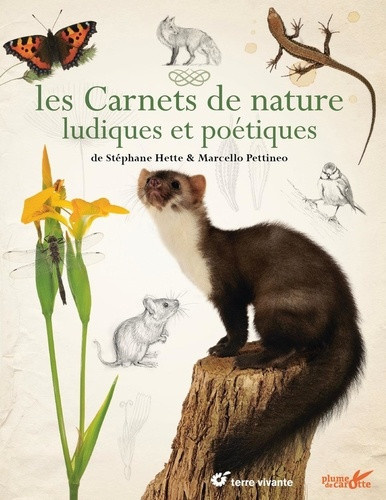 hette-pettineo-carnets-de-nature-ludiques-et-poetiques_0
