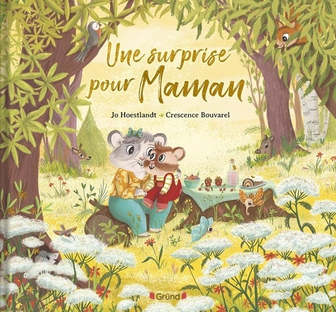 hoestlandt-bouvarel-une-surprise-pour-maman_0