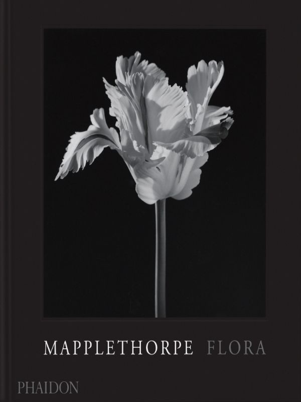 holborn-mark-mapplethorpe-flora-the-complete-flowers_0