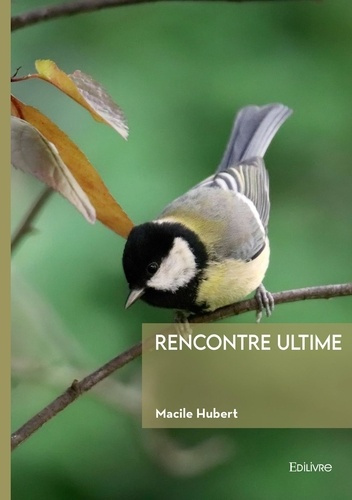 hubert-macile-rencontre-ultime-et-autres-nouvelles_0