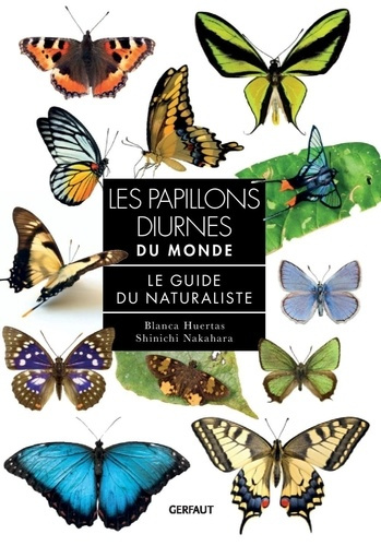 huertas-blanca-nakahara-shinichi-les-papillons-diurnes-du-monde_0