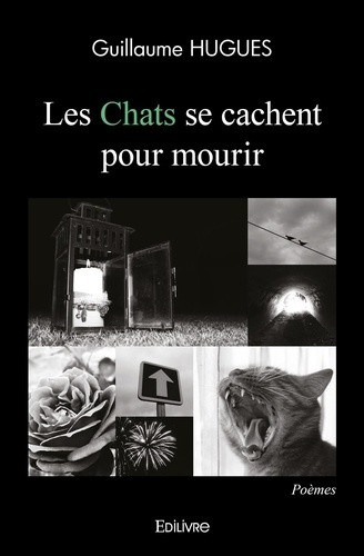 hugues-guillaume-les-chats-se-cachent-pour-mourir_0