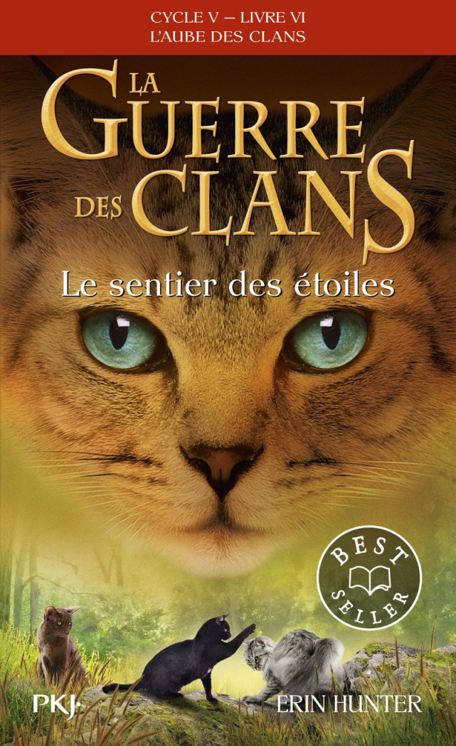 hunter-erin-la-guerre-des-clans-cycle-v-l-aube-des-clans-tome-6-le-sentier-des-etoiles-poche-6_0