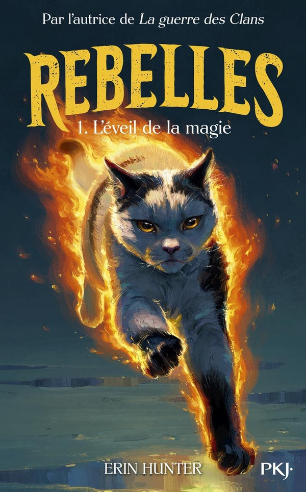 hunter-erin-renegates-rebelles-tome-1-l-eveil-de-la-magie-vol01_0