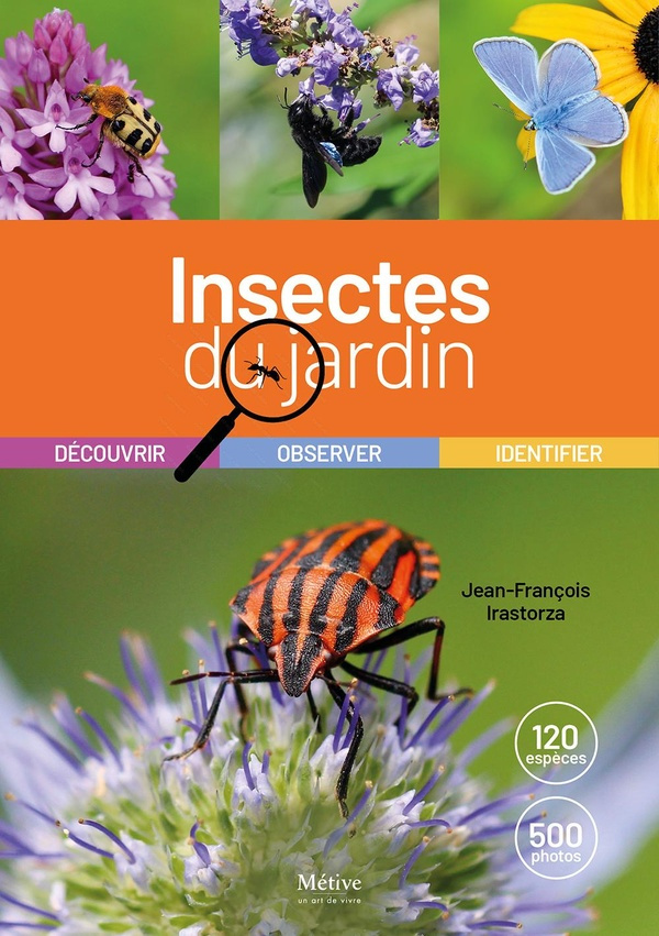 irastorza-jean-francois-les-insectes-du-jardin-decouvrir-identifier-observer_0