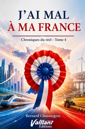 j-ai-mal-a-ma-france-chroniques-du-reel-4_0