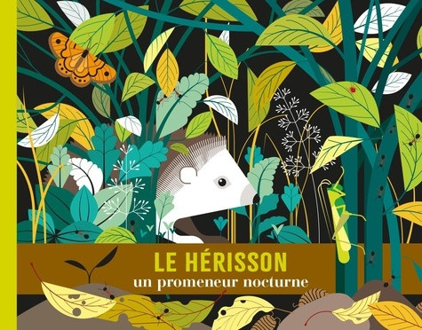 jacoud-cecile-le-herisson-un-promeneur-nocturne_0