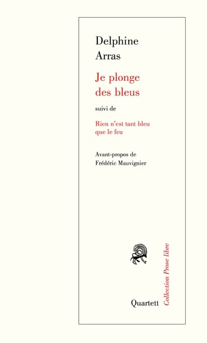 je-plonge-des-bleus-suivi-de-rien-n-est-tant-bleu-que-le-feu_0