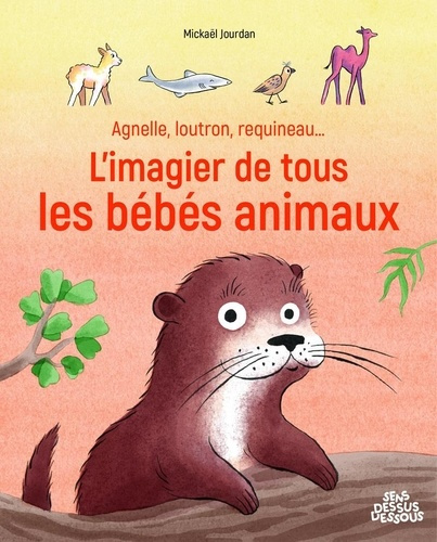 jourdan-mickael-agnelle-loutron-requineau-l-imagier-de-tous-les-bebes-animaux_0