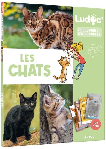 journo-audoin-les-chats_0
