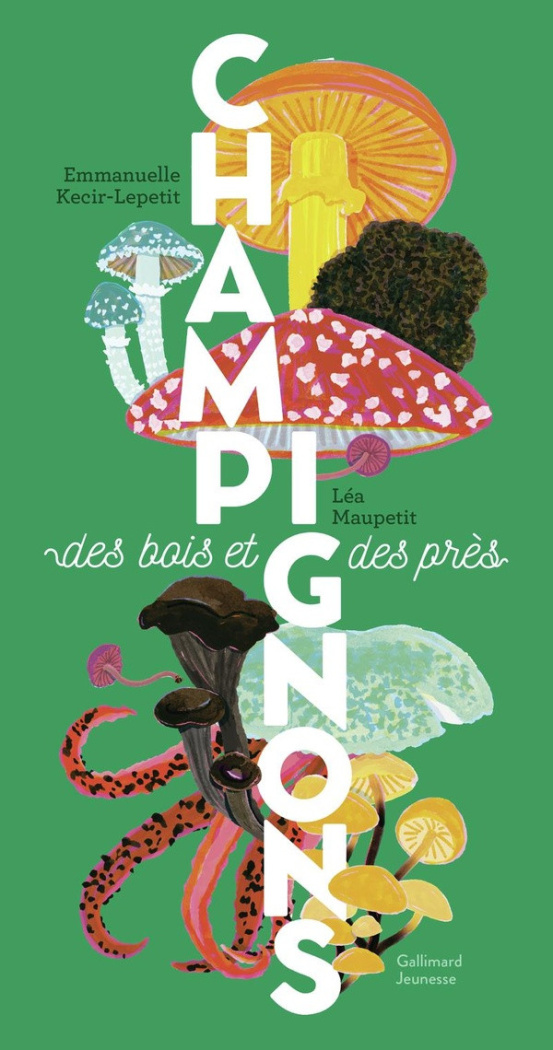 kecir-lepetit-e-champignons_0