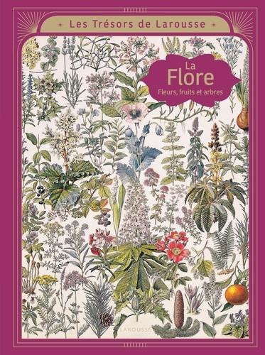 kecir-lepetit-emmanuelle-la-flore-fleurs-fruits-et-arbres-les-tresors-larousse_0