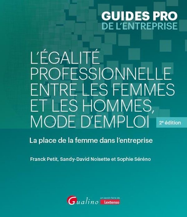 l-egalite-professionnelle-entre-les-femmes-et-les-hommes-mode-d-emploi-la-place-de-la-femme-dans_0