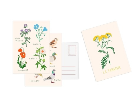 las-cases-zoe-de-cartes-postales-une-collection-de-10-cartes-postales-autour-des-fleurs_0