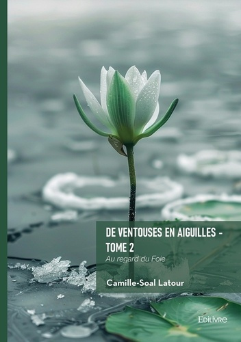 latour-camille-soal-de-ventouses-en-aiguilles-tome-2_0