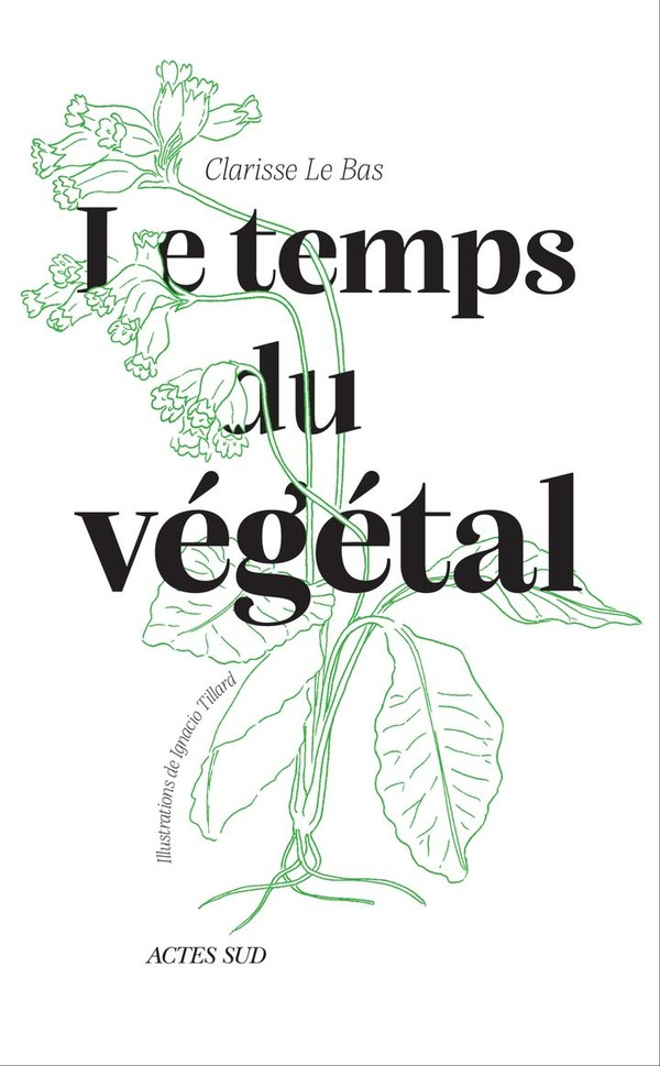 le-bas-clarisse-tillard-ignacio-un-usage-du-monde-a-l-ecoute-du-vegetal_0