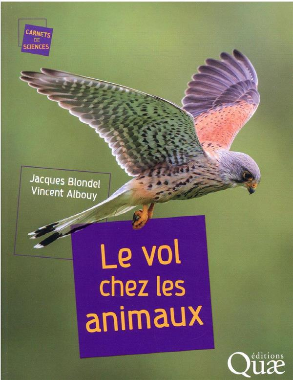 le-vol-chez-les-animaux_0