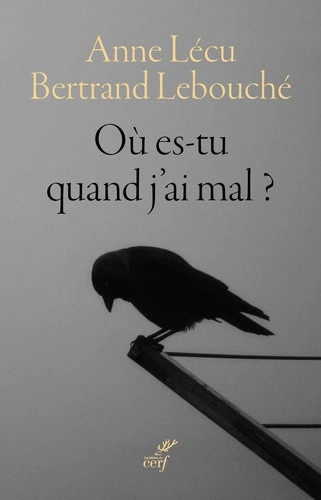 lecu-anne-lebouche-bertrand-ou-es-tu-quand-j-ai-mal-nouvelle-edition_0