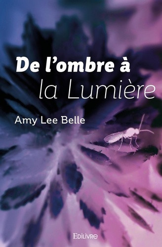 lee-belle-amy-de-l-ombre-a-la-lumiere-traduit-par-maggy-baeyens_0