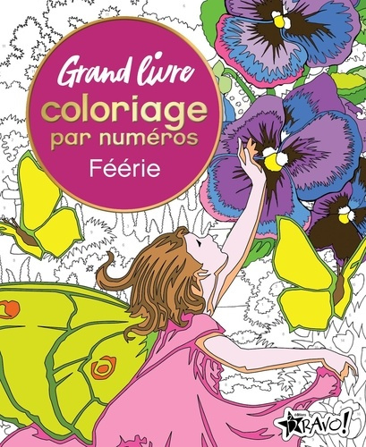 lennox-else-woodroffe-david-grand-livre-coloriage-par-numeros-feerie_0
