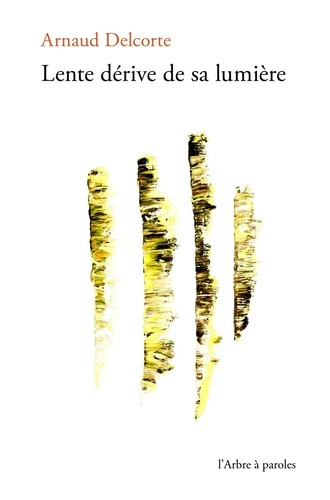 lente-derive-de-sa-lumiere_0