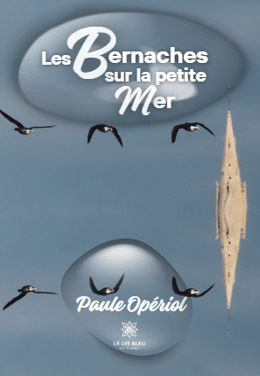 les-bernaches-sur-la-petite-mer_0