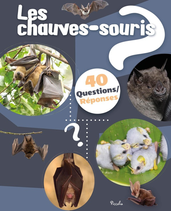 les-chauve-souris_0