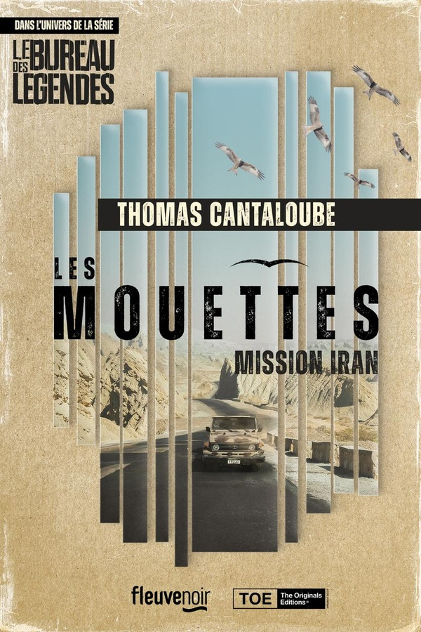 les-mouettes-mission-iran_0