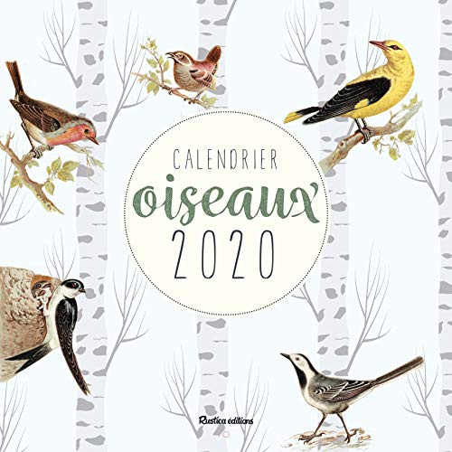 lesaffre-guilhem-calendrier-oiseaux-edition-2020_0
