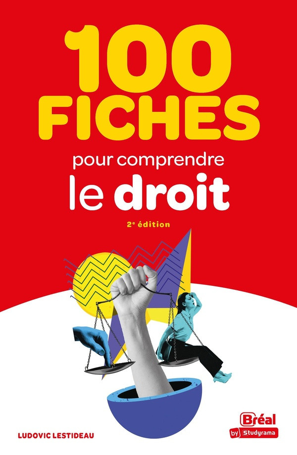 lestideau-ludovic-100-fiches-pour-comprendre-le-droit_0