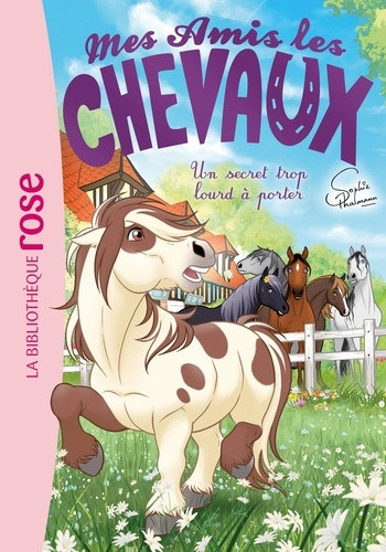 livre-hachette-albiero-marco-feret-fleury-made-mes-amis-les-chevaux-tome-54_0