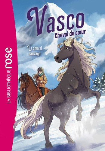 livre-hachette-orlando-valeria-chatel-christel-vasco-cheval-de-coeur-tome-06_0