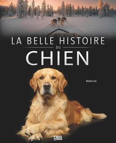 lot-beatrix-la-belle-histoire-du-chien_0